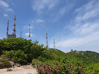 대구(팔공산)