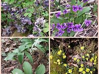 민초산행
