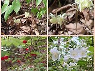 민초산행
