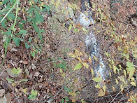 &#127812; 새벽을 가..