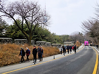 2025.12.28 송년산행 (남산) (2)
