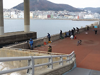 29 일 영도 바다