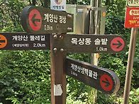 계양산 둘레길 완..