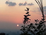 빛 -천상병