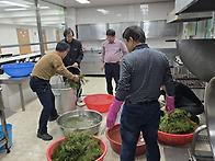 성지 가지 채취 ..