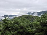 김천 직지사