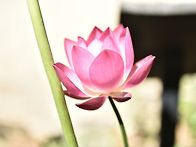 22차성지순례길~~