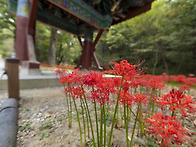 보석사