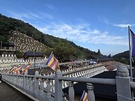 천안 구룡사 다녀왔습니다