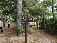 250427 금당도 특별산행 ..