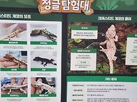 사막거저리의 창의성