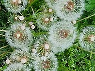 5.18 광주 민주화운동