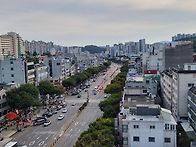 성남맛집 양지동 롯데리아