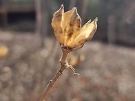 광명 도덕산 출렁다리