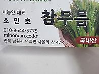지리산 두릅