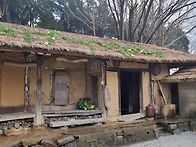 서산 유기방가옥 수선화축..