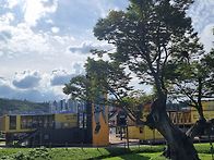 위례신도시 코스모스밭