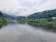 녹수도 절로절로