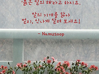 병오년이 밝았습니..