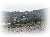 오늘도 굿모닝 - 1588 ..