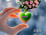 강진군 진압기 2800 2대..