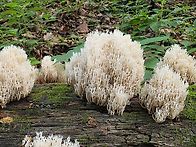 산을 다니다 보면 4