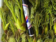 산을 다니다 보면 2