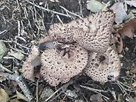 산을 다니다 보면 5