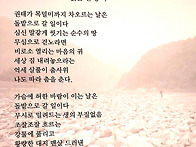 雲香 權寧子 개인전 - 3