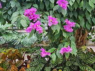 시인 박문순 시집..