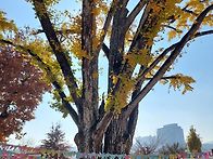 오늘도 건강하게 ..