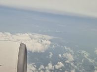 찐빵이와 제주여행