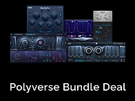 Polyverse.Music.Bu..