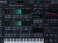 reFX.Rippler.v1.0...