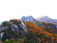 10/25(금) 도봉산..