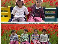 숲과 꽃 그리고 ..