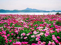 제856차(연19차) 정기산행..