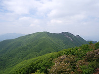 제816차(년24차)정기산행:..