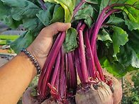 천천히 상품보시고 맘에드..