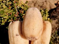 막혀있는 혈관을 뻥 ~!!..