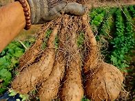 저렴한가격에 모든상품 판..