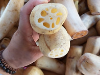 막혀있는 혈관을 뻥 ~!!..