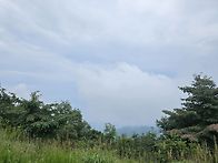 유명산 산행(260..
