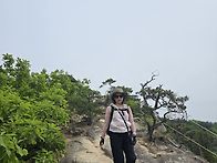 제비봉이여 안녕