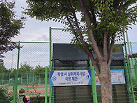 지오의 매미 탐방기