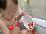 빨간색 과일 딸기를 좋아하..