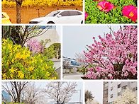 [1887회] 감사일기 202..