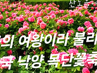 [중국 크루즈여행] 4월26..