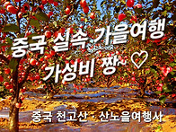 [중국 크루즈여행] 10월9..