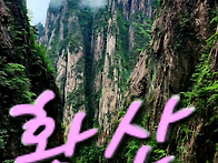 [중국] 황산_서해대협곡ㆍ..